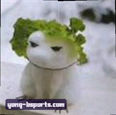 郑宇